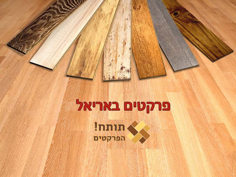 התקנת פרקטים באריאל