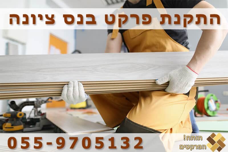 פרקטים בנס ציונה