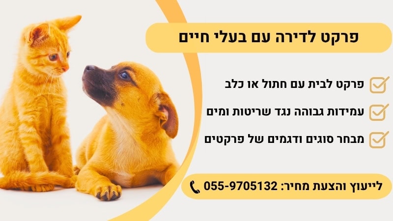 פרקט לדירה עם בעל חיים